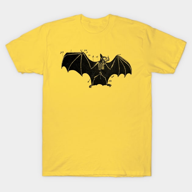 bat skeleton T-Shirt by mydearboy